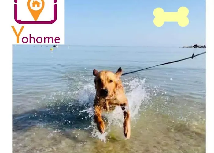 Passalacqua First Floor Between Culture And Sea Apartment Pesaro